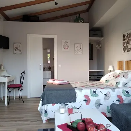 Entrepontes Apartment